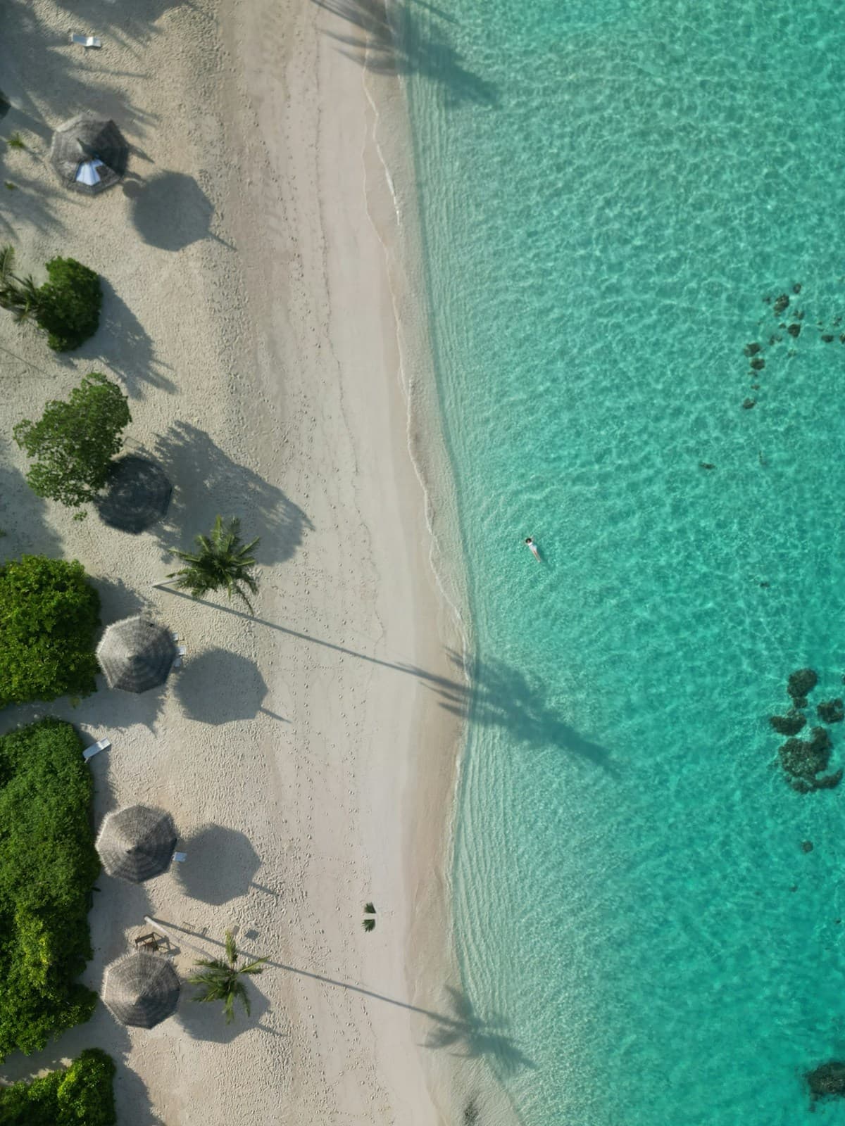 The Curaçao Beaches Tour Buses Skip